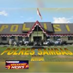 Screenshot_20260131_115255