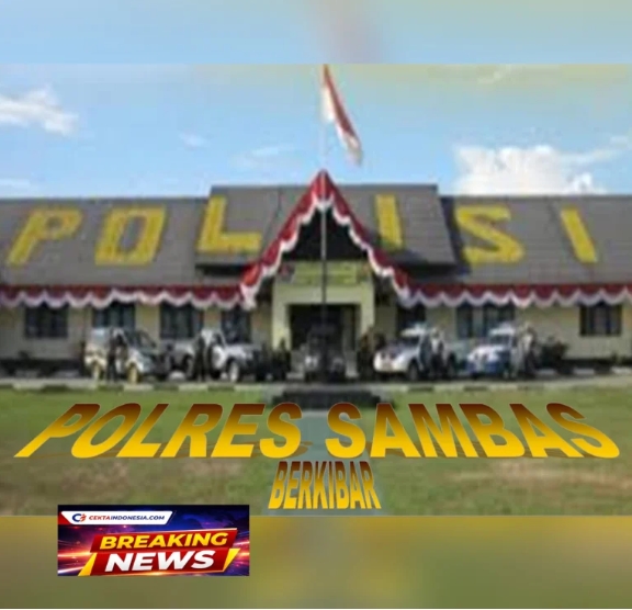 Screenshot_20260131_115255