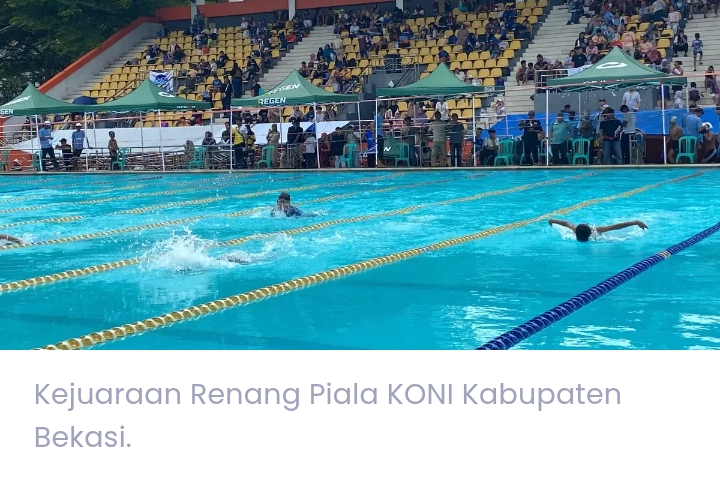 Screenshot_20260208_201230