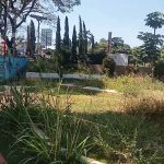 IMG-20260630-WA0019